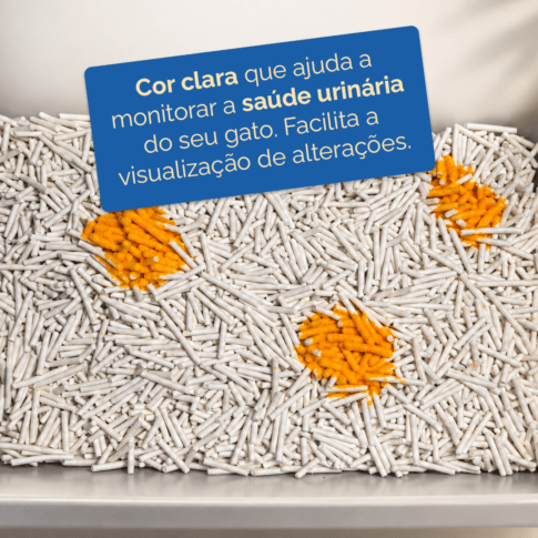 Areia de tofu Prestipet super absorvente, com cor clara que ajuda a monitorar a saúde urinária do seu gato