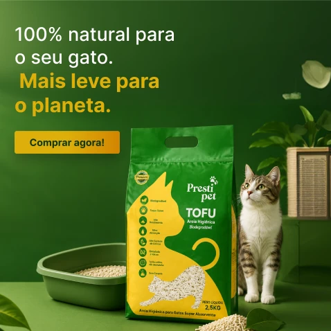 Tofu